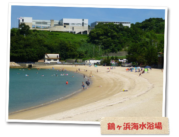 鶴ケ浜海水浴場